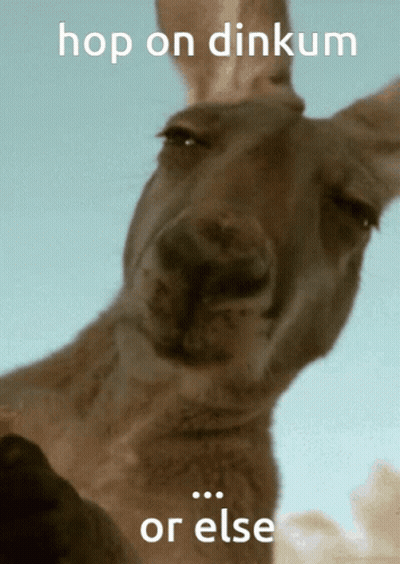A Kangaroo With The Words Hop On Dinkum Or Else On The Bottom GIF