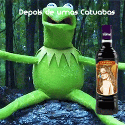 A Kermit Frog Is Sitting On A Rock Next To A Bottle Of Catuaba GIF
