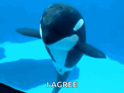 A Killer Whale Is Swimming In The Ocean With The Words `` I Agree '' Above It . GIF