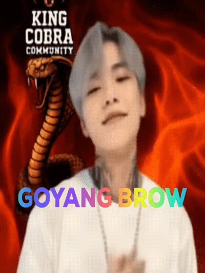 A King Cobra Community Poster With Goyang Brow Written On It GIF
