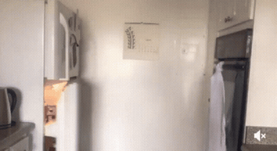 A Kitchen With A Calendar Hanging On The Wall And A Sound Button On The Counter GIF