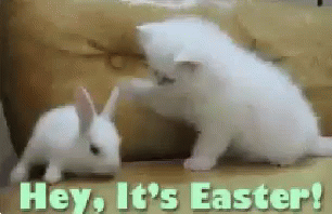 A Kitten And A White Rabbit Are Playing With Each Other And The Words Hey It 'S Easter Are Visible . GIF