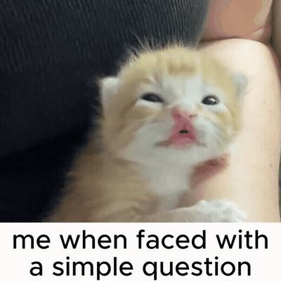 A Kitten Is Being Held In A Person 'S Arm With A Caption That Says Me When Faced With A Simple Question GIF