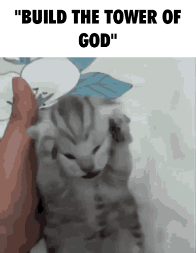A Kitten Is Being Held In Someone 'S Hand And The Caption Says " Build The Tower Of God " GIF