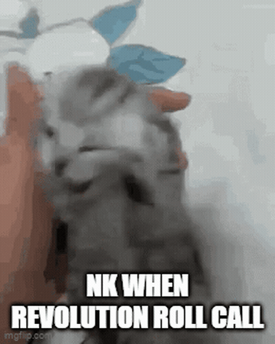 A Kitten Is Being Held In Someone 'S Hand With The Caption Nk When Revolution Roll Call GIF