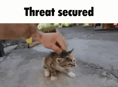 A Kitten Is Being Petted By A Person With The Words Threat Secured Above It GIF
