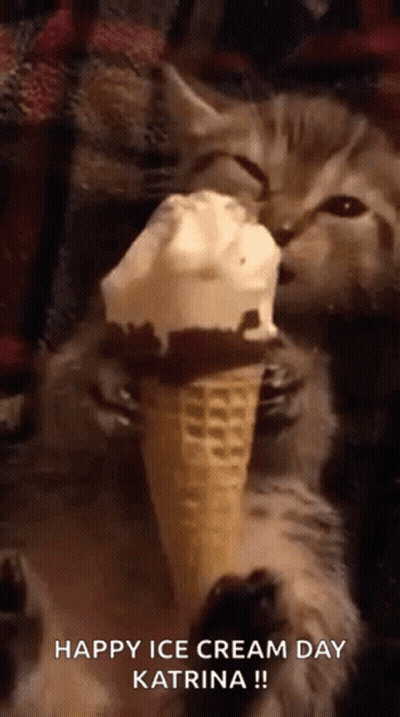 A Kitten Is Eating An Ice Cream Cone On Ice Cream Day GIF