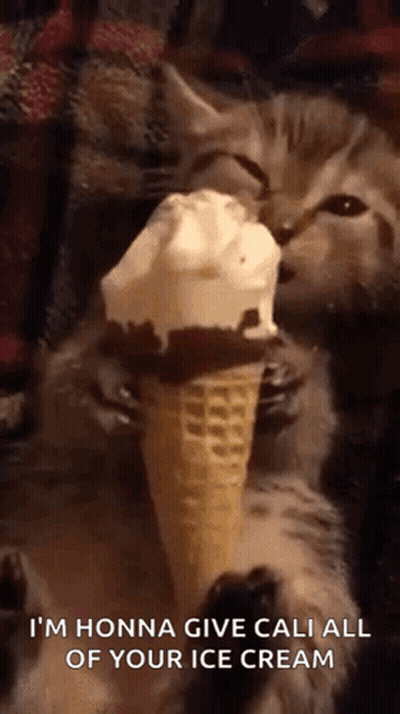 A Kitten Is Eating An Ice Cream Cone With The Words I 'M Honna Give Cali All Of Your Ice Cream GIF