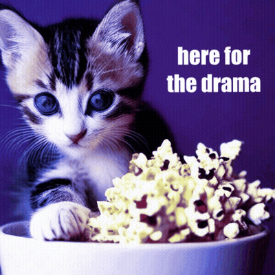 A Kitten Is Eating Popcorn With The Words Here For The Drama Behind It GIF