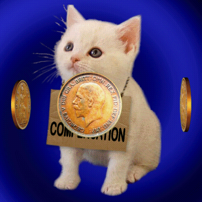 A Kitten Is Holding A Coin That Says ' Georgina ' On It GIF