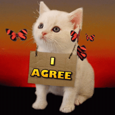 A Kitten Is Holding A Sign That Says I Agree GIF