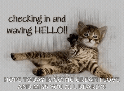 A Kitten Is Laying Down With The Words Checking In And Waving Hello GIF