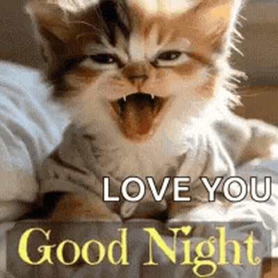 A Kitten Is Laying On A Bed With Its Mouth Open . GIF