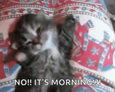A Kitten Is Laying On Its Back On A Bed And Says `` No ! It 'S Morning ! '' GIF