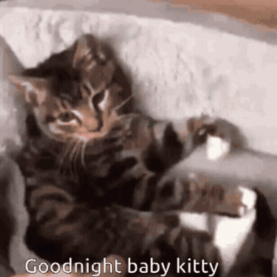 A Kitten Is Laying On Its Back On A Bed With The Words `` Goodnight Baby Kitty '' Written Above It . GIF