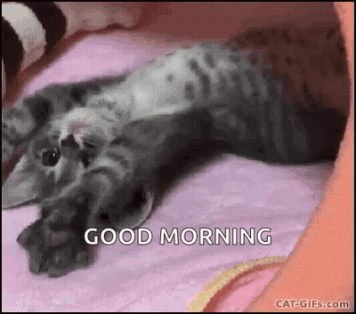 A Kitten Is Laying On Its Back On A Pink Blanket And Says `` Good Morning '' . GIF