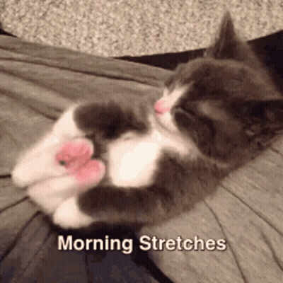 A Kitten Is Laying On Its Back With The Words Morning Stretches Written Below It GIF