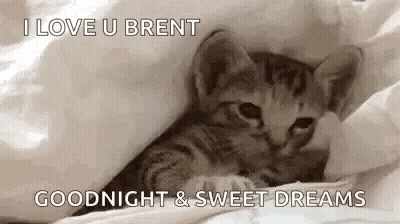 A Kitten Is Laying Under A Blanket And Says `` I Love U Brent Goodnight & Sweet Dreams '' GIF