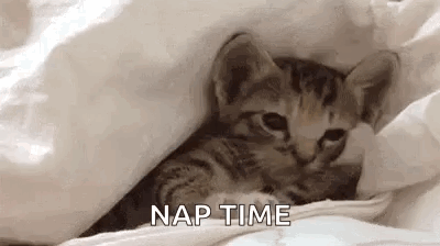 A Kitten Is Laying Under A Blanket On A Bed And Saying `` Nap Time '' . GIF