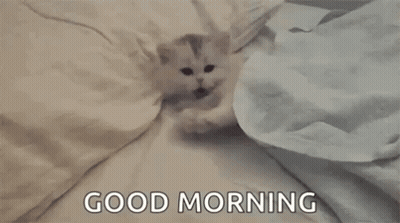 A Kitten Is Laying Under A Blanket On A Bed With The Words Good Morning Written On The Bottom . GIF