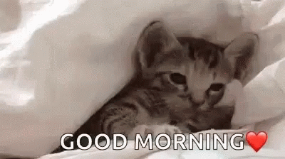 A Kitten Is Laying Under A Blanket With The Words `` Good Morning '' . GIF