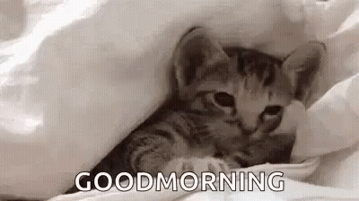 A Kitten Is Laying Under A Blanket With The Words `` Good Morning '' Written On It . GIF