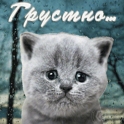 A Kitten Is Looking Out A Window With The Words " Грустно " Written On The Bottom GIF