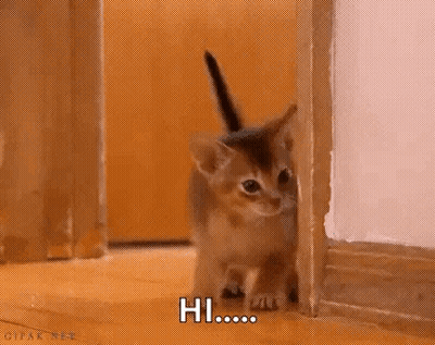 A Kitten Is Peeking Out From Behind A Door And Says Hi . GIF