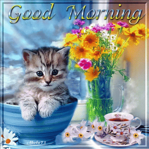 A Kitten Is Sitting In A Blue Bowl Next To A Cup Of Tea And Flowers GIF