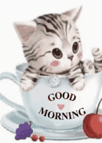 A Kitten Is Sitting In A Cup Of Coffee . GIF