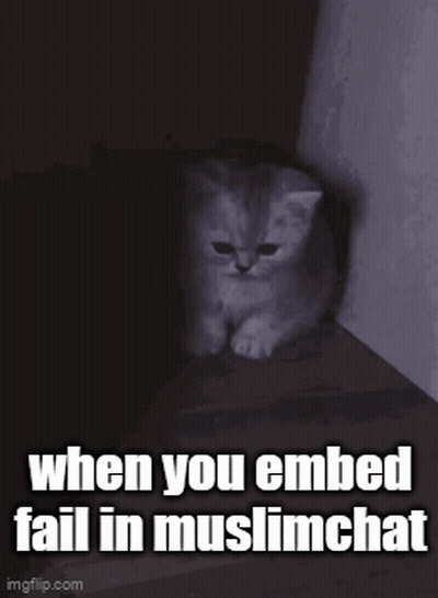A Kitten Is Sitting In A Dark Room With The Words When You Embed Fail In Muslimchat GIF