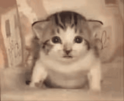 A Kitten Is Sitting In Front Of A Candle That Is On Fire . GIF