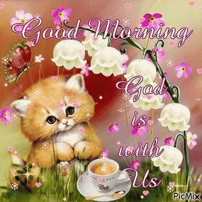 A Kitten Is Sitting In The Grass With A Cup Of Coffee And Flowers . GIF