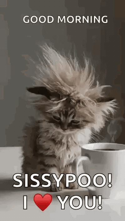 A Kitten Is Sitting Next To A Cup Of Coffee And Saying `` Good Morning Sissypoo ! I Love You ! '' GIF