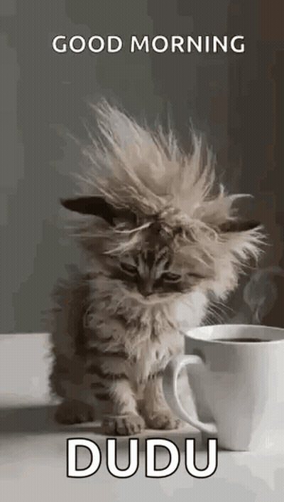 A Kitten Is Sitting Next To A Cup Of Coffee On A Table . GIF