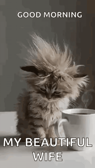 A Kitten Is Sitting Next To A Cup Of Coffee On A Table . GIF