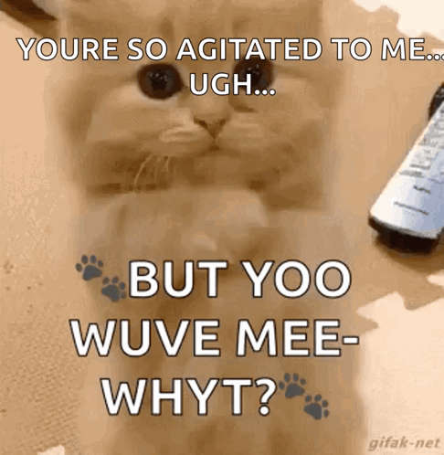 A Kitten Is Sitting Next To A Remote Control And Says You 'Re So Agitated To Me Ugh GIF
