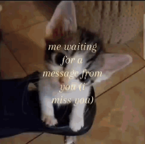 A Kitten Is Sitting On A Person 'S Foot And Waiting For A Message From Them GIF