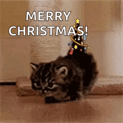 A Kitten Is Sitting On A Scratching Post With A Christmas Tree On Top Of It . GIF