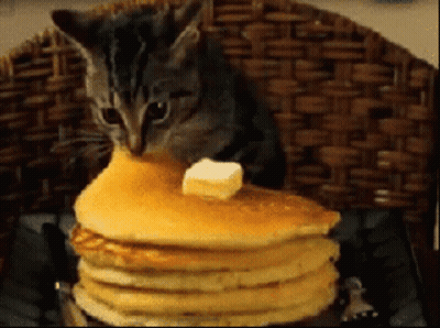A Kitten Is Sitting On A Stack Of Pancakes With Butter On Top GIF