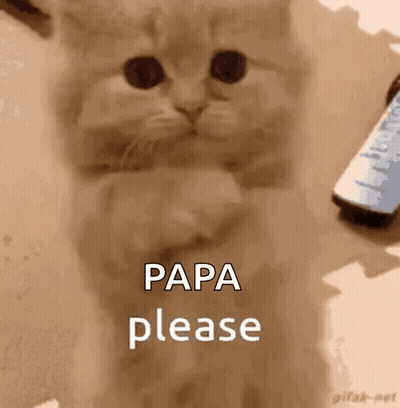 A Kitten Is Sitting On A Table With A Cell Phone In The Background And Says `` Papa Please '' . GIF