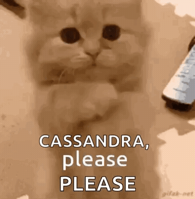 A Kitten Is Sitting On A Table With A Remote Control In The Background . GIF