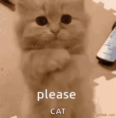 A Kitten Is Sitting On A Table With Its Paws Crossed And A Remote Control In The Background . GIF