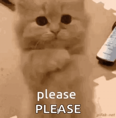 A Kitten Is Sitting On The Floor Next To A Remote Control And Asking For Something . GIF
