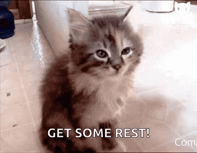 A Kitten Is Sitting On The Floor With The Words `` Get Some Rest '' Written On It . GIF