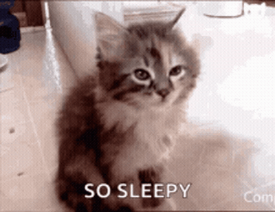 A Kitten Is Sitting On The Floor With The Words `` So Sleepy '' Written Below It . GIF