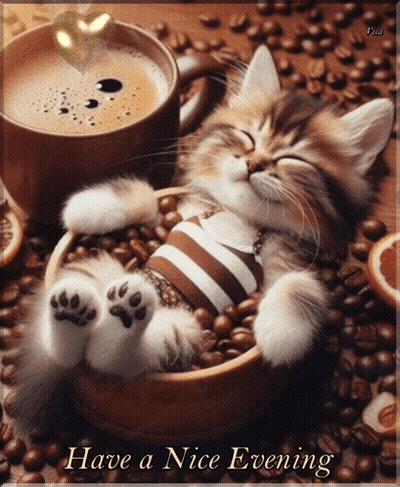 A Kitten Is Sleeping In A Bowl Of Coffee Beans With A Cup Of Coffee In The Background GIF