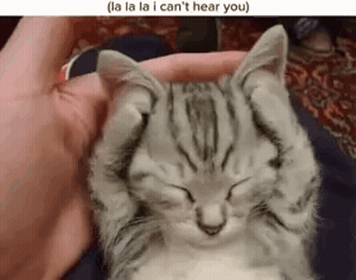 A Kitten Is Sleeping In A Person 'S Hand And Covering Its Eyes With Its Paws . GIF