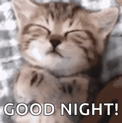A Kitten Is Sleeping On A Bed With Its Eyes Closed And The Words `` Good Night '' Written Below It . GIF