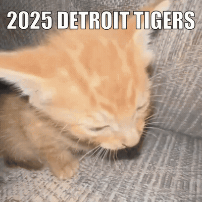A Kitten Is Sleeping On A Couch With 2025 Detroit Tigers Written On The Bottom GIF